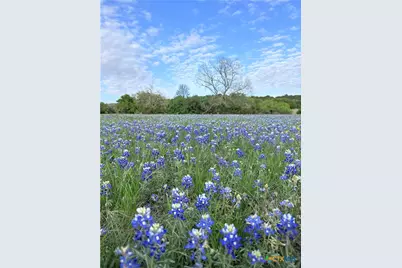 Unassigned County Road 301, Oglesby, TX 76561 - Photo 16
