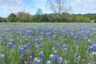 Unassigned County Road 301, Oglesby, TX 76561 - Photo 16