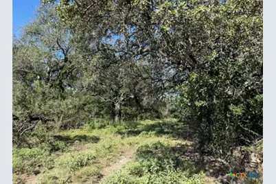 Unassigned County Road 301, Oglesby, TX 76561 - Photo 12