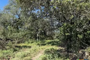 Unassigned County Road 301, Oglesby, TX 76561 - Photo 12