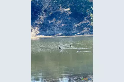 Unassigned County Road 301, Oglesby, TX 76561 - Photo 10