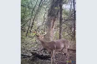 Unassigned County Road 301, Oglesby, TX 76561 - Photo 26