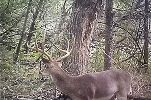 Unassigned County Road 301, Oglesby, TX 76561 - Photo 26