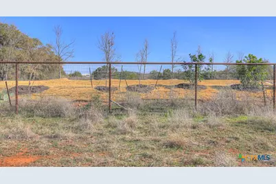 314 Windsor Lane, New Braunfels, TX 78132 - Photo 10