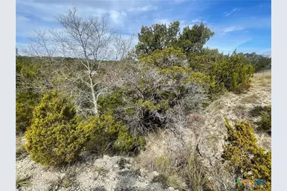 Tract 81 Private Road 3442N, Kempner, TX 76539 - Photo 6