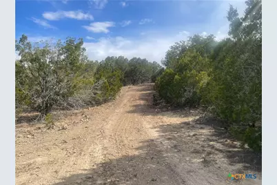 Tract 81 Private Road 3442N, Kempner, TX 76539 - Photo 4