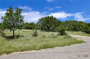 101 Purple Sage St, Driftwood, TX 78619 - Photo 2