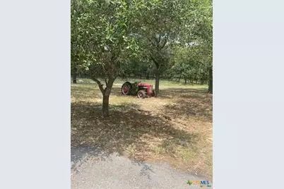 9031 Fm 1117, Seguin, TX 78155 - Photo 6
