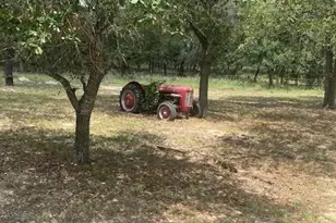 9031 FM1117, Seguin, TX 78155 - Photo 6