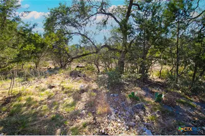 436 Cavy Road, New Braunfels, TX 78132 - Photo 2