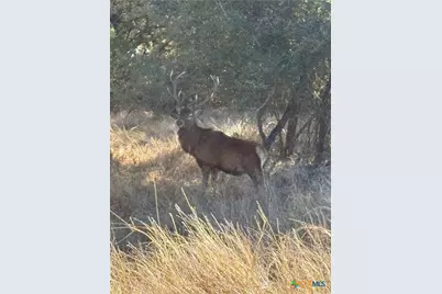 00 Monarch Lane/Shin Oak, Lampasas, TX 76550 - Photo 6