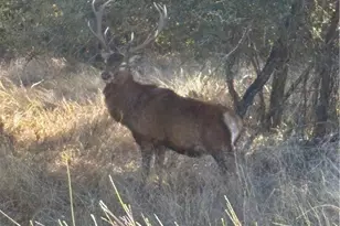 00 Monarch Lane/Shin Oak, Lampasas, TX 76550 - Photo 6