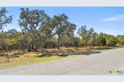 111 La Luna Drive, Blanco, TX 78606 - Photo 36