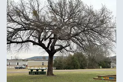 50 Hickory Circle, Copperas Cove, TX 76522 - Photo 14