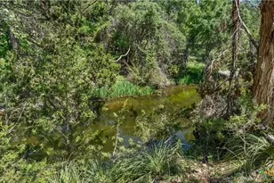 606 Deer Lake Cove, Wimberley, TX 78676 - Photo 40