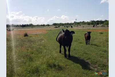 7947 Cr 1255 Road, Lampasas, TX 76550 - Photo 12