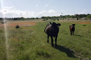7947 Cr 1255 Rd, Lampasas, TX 76550 - Photo 12