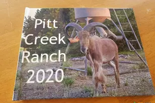 7947 Cr 1255 Rd, Lampasas, TX 76550 - Photo 18