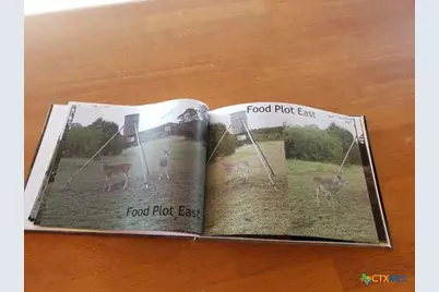 7947 Cr 1255 Road, Lampasas, TX 76550 - Photo 20