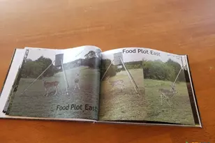 7947 Cr 1255 Rd, Lampasas, TX 76550 - Photo 20