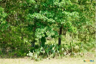 4850 Burke Road, Flatonia, TX 78941 - Photo 42