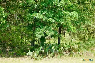 4850 Burke Rd, Flatonia, TX 78941 - Photo 42