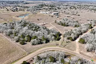 4850 Burke Rd, Flatonia, TX 78941 - Photo 1