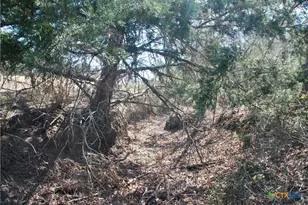 4850 Burke Rd, Flatonia, TX 78941 - Photo 42