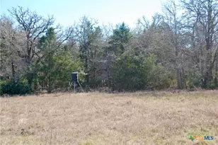 4850 Burke Rd, Flatonia, TX 78941 - Photo 32