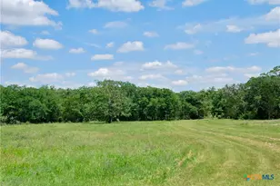 4850 Burke Rd, Flatonia, TX 78941 - Photo 10