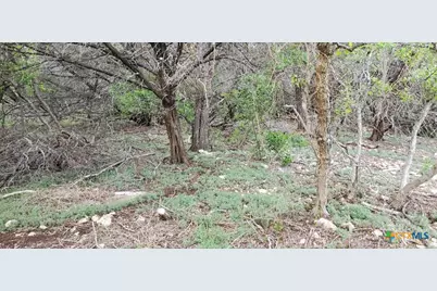 15968 Brazos Drive, Temple, TX 76502 - Photo 18