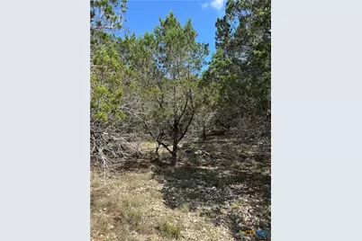 121 Agarita Drive, Spring Branch, TX 78070 - Photo 4