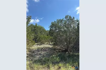 121 Agarita Drive, Spring Branch, TX 78070 - Photo 10