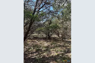 121 Agarita Drive, Spring Branch, TX 78070 - Photo 4