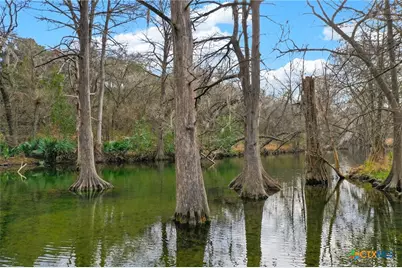 121 Agarita Drive, Spring Branch, TX 78070 - Photo 22