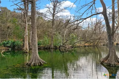 121 Agarita Drive, Spring Branch, TX 78070 - Photo 24