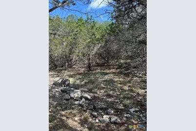 121 Agarita Drive, Spring Branch, TX 78070 - Photo 6