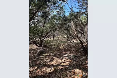 121 Agarita Drive, Spring Branch, TX 78070 - Photo 6