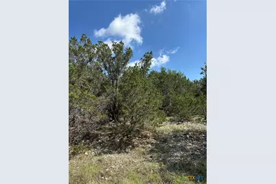 121 Agarita Drive, Spring Branch, TX 78070 - Photo 8