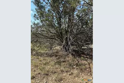 121 Agarita Drive, Spring Branch, TX 78070 - Photo 8