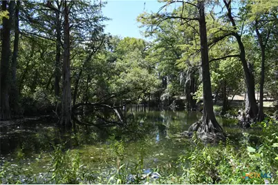 135 Agarita Drive, Spring Branch, TX 78070 - Photo 16