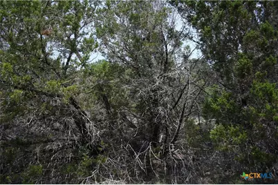 135 Agarita Drive, Spring Branch, TX 78070 - Photo 10