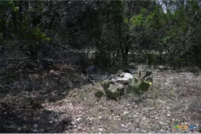 135 Agarita Drive, Spring Branch, TX 78070 - Photo 6