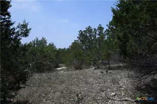 135 Agarita Dr, Spring Branch, TX 78070 - Photo 1