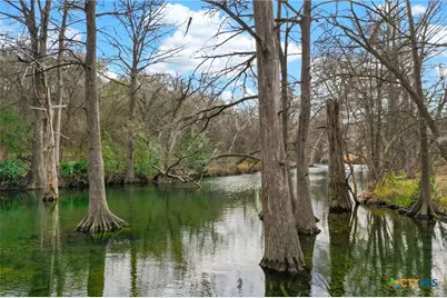135 Agarita Drive, Spring Branch, TX 78070 - Photo 24