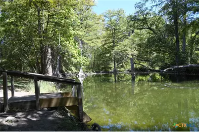 135 Agarita Drive, Spring Branch, TX 78070 - Photo 14