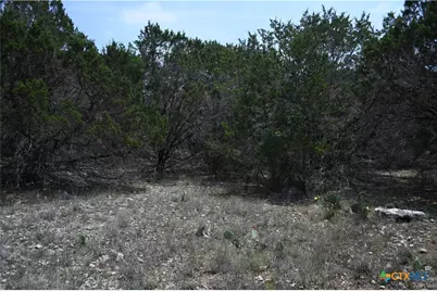 135 Agarita Drive, Spring Branch, TX 78070 - Photo 2