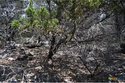 135 Agarita Drive, Spring Branch, TX 78070 - Photo 4