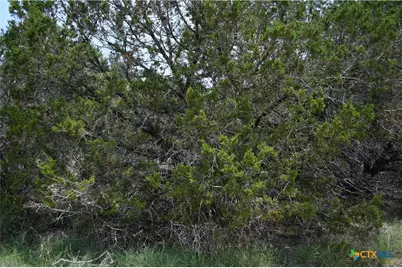 135 Agarita Drive, Spring Branch, TX 78070 - Photo 8