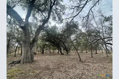 13203 Pr 3642, Lampasas, TX 76550 - Photo 1